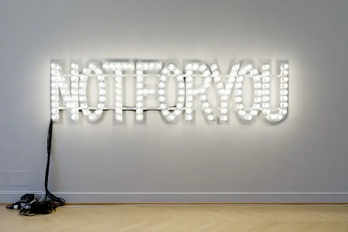 Monica Bonvicini, Not For You, 2006
