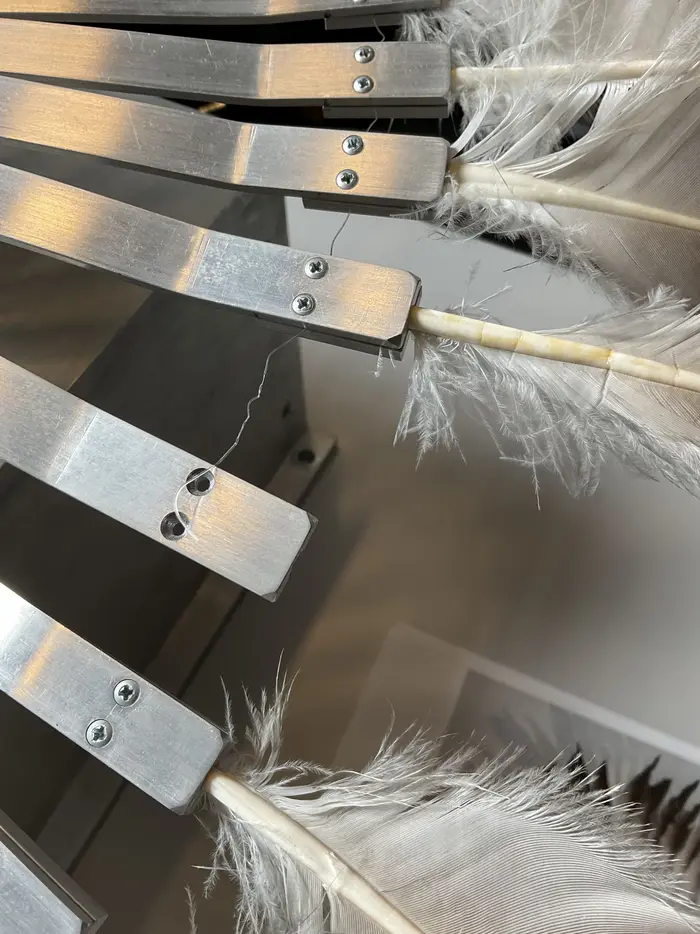 Zu sehen ist ein gerissener Nylonfaden an dem Werk "Silver Crane" von Rebecca Horn aus dem Jahr 1984. Das kinetische Werk besteht aus einem Federkranz aus Kranichfedern, die von einem Motor betrieben sich öffnen und schließen.