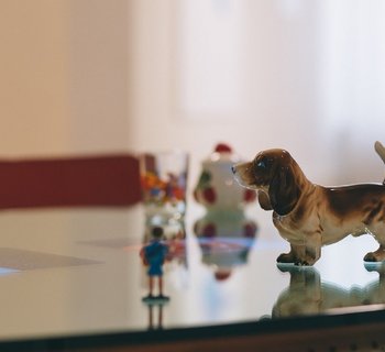 Zu sehen ist eine Detailansicht des Werks von Pipilotti Rist, bestehend aus einem Glastisch mit einer Hundefigur, einem grünen Fläschchen, Gläsern usw.
