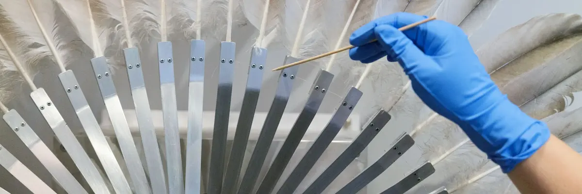 Zu sehen ist die Hand der Restauratorin beim Entstauben einer Feder an dem Werk "Silver Crane" von Rebecca Horn aus dem Jahr 1984. Das kinetische Werk besteht aus einem Federkranz aus Kranichfedern, die von einem Motor betrieben sich öffnen und schließen.