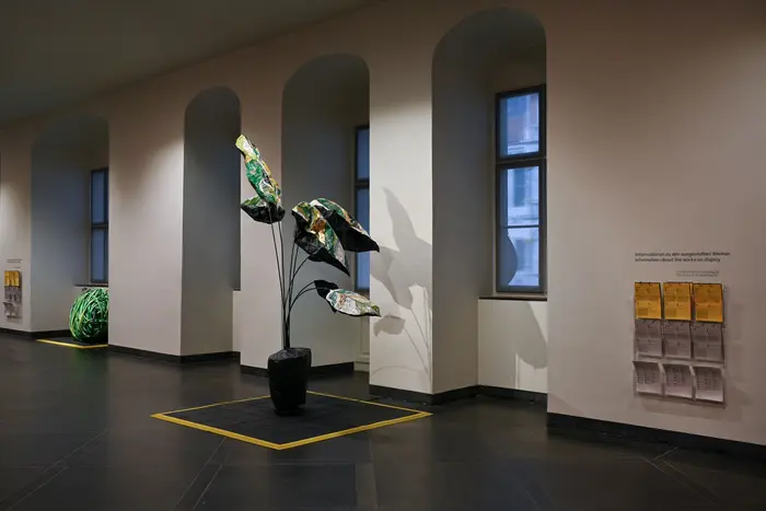 Raumansicht mit einer Pflanze