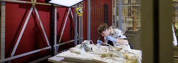 Die Restauratorin Franziska Klinkmüller bei der Arbeit in der Schauwerkstatt