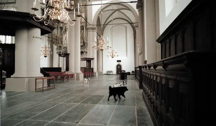 Bojan Šarčević, Il semble que l’animal est dans le monde comme l’eau dans l’eau (Es scheint, als sei das Tier in der Welt wie das Wasser im Wasser), 1999