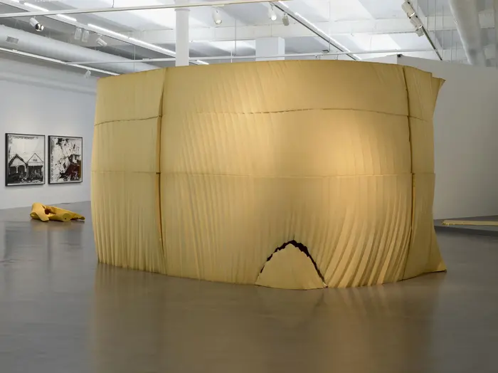 Ernesto Neto, the house, 2003 Ernesto Neto, the house, 2003